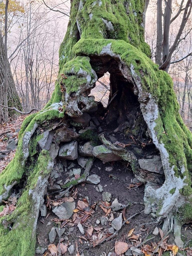 Burg Nad Banskou Stiavnicou Pensionat Stiavnicke Bane Exteriör bild